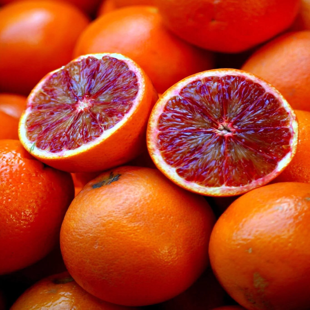 Wholesale Fresh Blood Orange – Oman